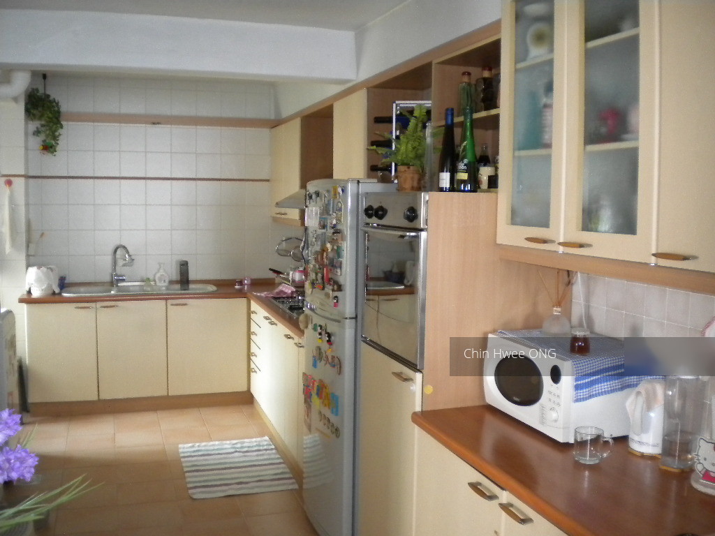 Blk 14 Dover Close East (Queenstown), HDB 5 Rooms #116110712